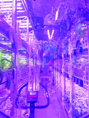 图片来源:北京晨报 点击进入下一页