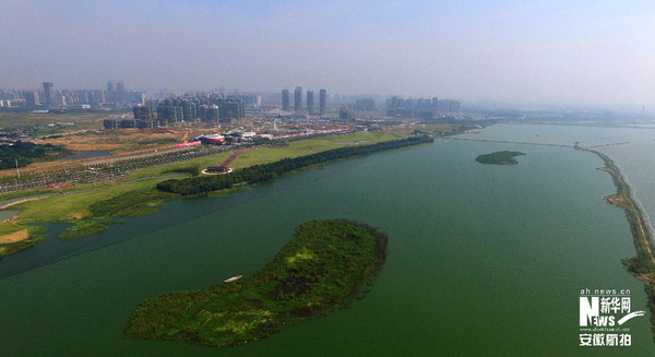 Img418293785 Img418293785