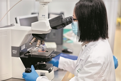 1122750639_15247903101321n 1122750639_15247903101321n