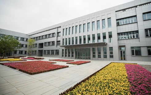 雄安市民服务中心成热门景点 五一迎5万多人参观