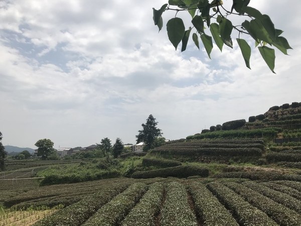 微信图片_20180502085830 微信图片_20180502085830