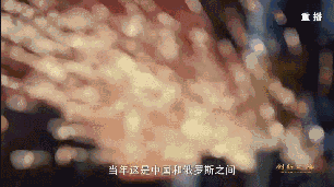 2007年，当一期工程2号机组进行技术调式时，中国方面却遇到了重大困难。