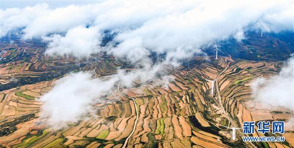 1119870370_14785706671561n 1119870370_14785706671561n