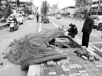 交通事故实为恶性案件?披露河南孟津4死2伤案详情