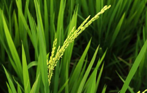 QQ截图20180507135723 QQ截图20180507135723