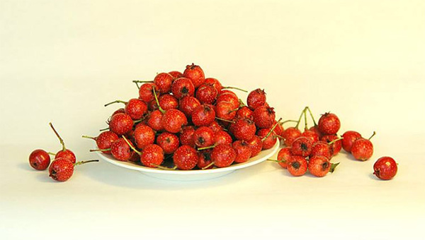 MAIN201805080928086201018291859 MAIN201805080928086201018291859