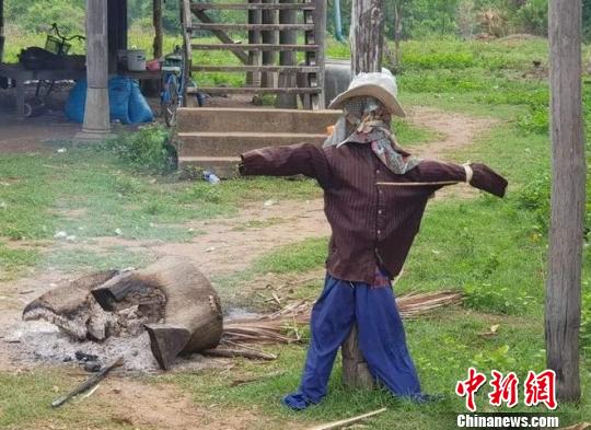 图为事发村庄。当地《柬中时报》提供