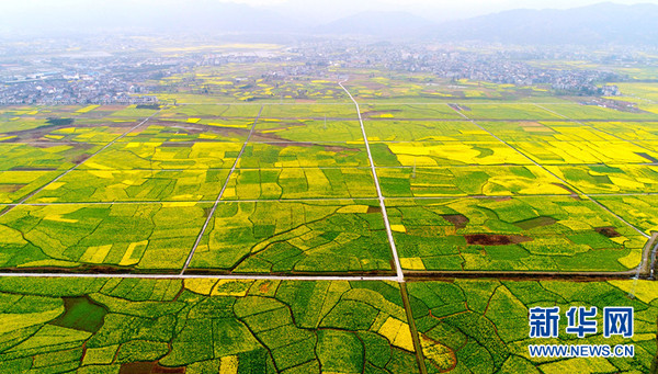 1120618419_14893876020351n 1120618419_14893876020351n