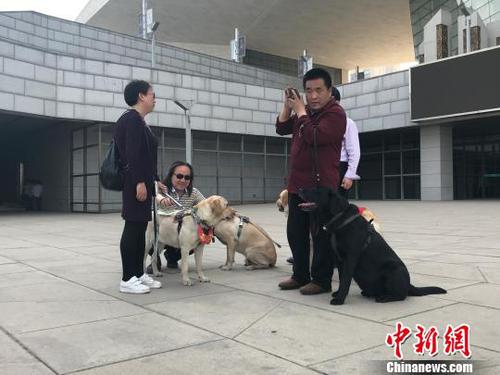 盲人与导盲犬在公共场所休息?！⊙罹?摄