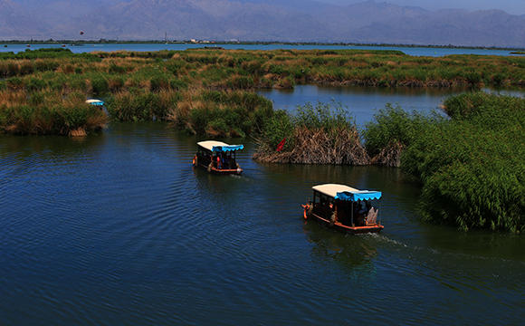 1120529571_1488018057760_title0h 1120529571_1488018057760_title0h