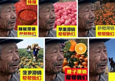 8745906414480863608 8745906414480863608