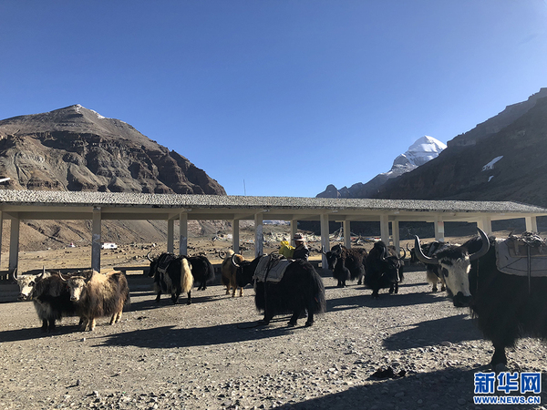 /website-webapp/ewebeditor/uploadfile/20180514085119434