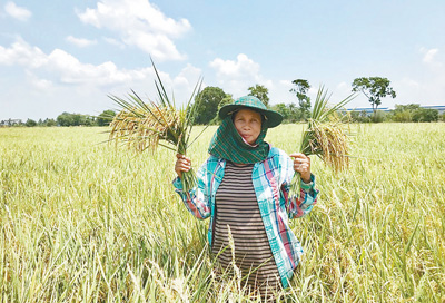 1526324464906_1 1526324464906_1