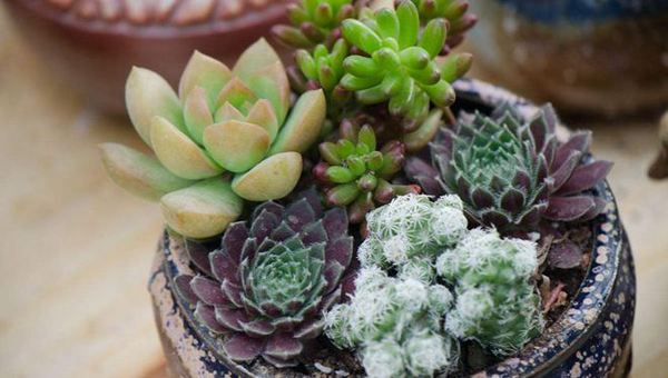 MAIN201805151043273601398295512 MAIN201805151043273601398295512