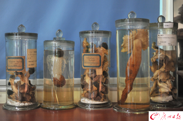 Cn4APlr45HqAMPYPAAYBv8t3LjM182 Cn4APlr45HqAMPYPAAYBv8t3LjM182