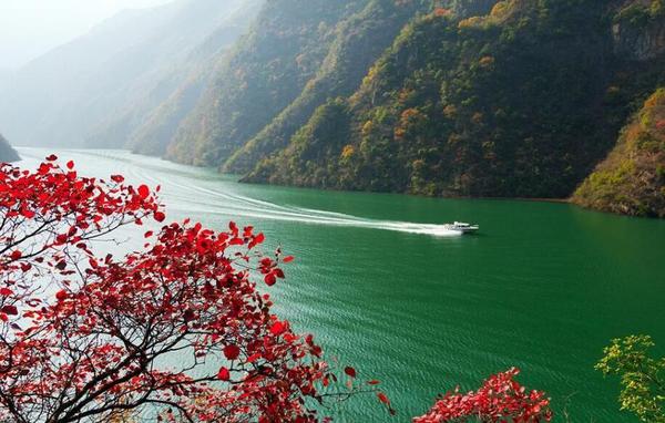 QQ截图20180516111914 QQ截图20180516111914