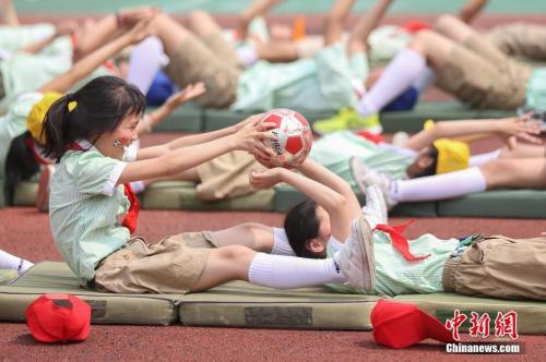 资料图 <a target='_blank' href='http://www.chinanews.com/'>中新社</a>记者 泱波 摄 点击进入下一页