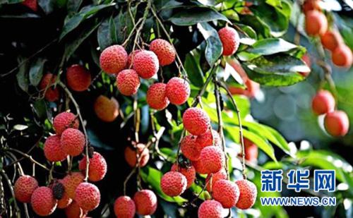 u=3078292979,3580854973&fm=27&gp=0 u=3078292979,3580854973&fm=27&gp=0