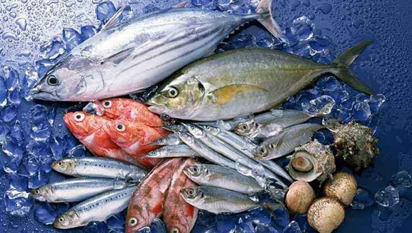 MAIN201805181049337627562431972 MAIN201805181049337627562431972