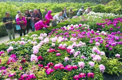 点击进入下一页