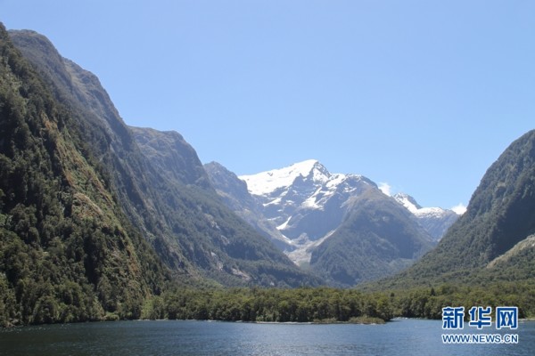 2013121010000883116 2013121010000883116