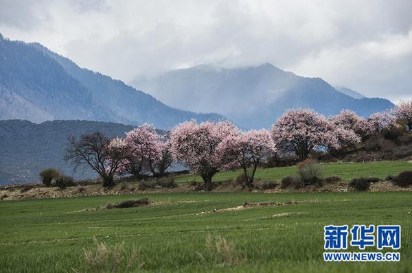 QQ截图20180521125133 QQ截图20180521125133