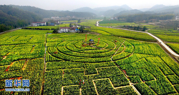 1118385031_14584574567321n 1118385031_14584574567321n