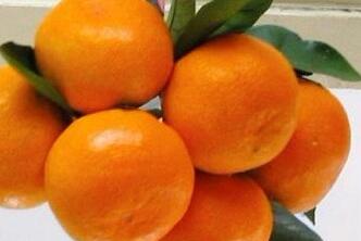 QQ截图20180523094305 QQ截图20180523094305