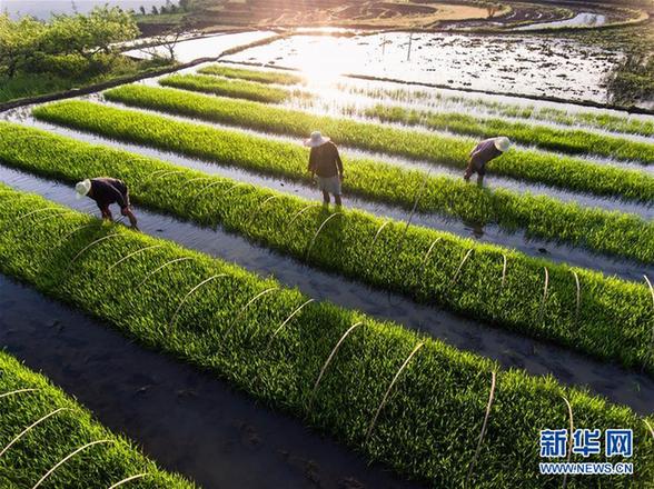 129878220_15269753304181n 129878220_15269753304181n