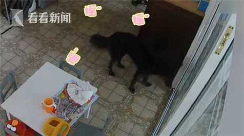 772803f15c834ecf8f63e733c5880448.jpg 微信图片编辑_20180523105229.jpg