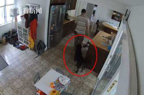 9eefc1f52f34744de97e9dd7a56b2818.jpg d3302941.jpg