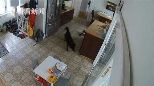 e40c60f1bdc20ef47c18d1a05ebdd15c.jpg 微信图片编辑_20180523105417.jpg