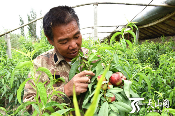 /website-webapp/ewebeditor/uploadfile/20180523101337249