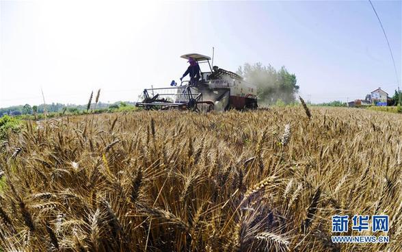 129879146_15270766436471n 129879146_15270766436471n