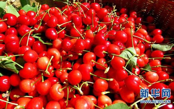 QQ截图20180524105335 QQ截图20180524105335