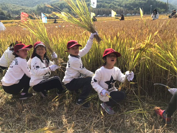 微信图片_20180524161221 微信图片_20180524161221