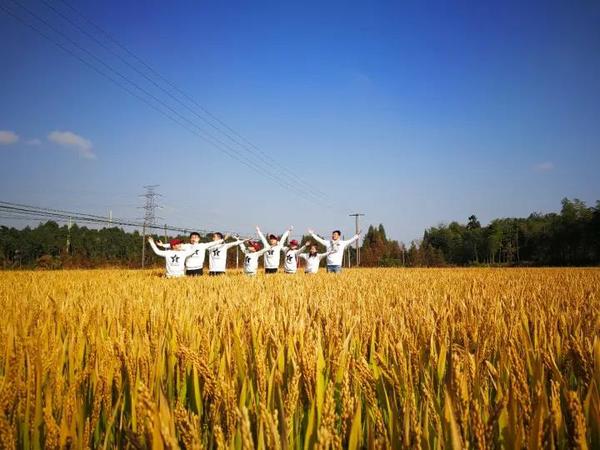 微信图片_20180524161231 微信图片_20180524161231