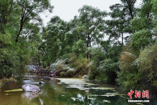 点击进入下一页