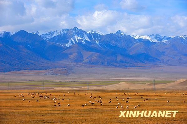 1987C36B0AF17EAC065BB9F3AF1800E0 1987C36B0AF17EAC065BB9F3AF1800E0