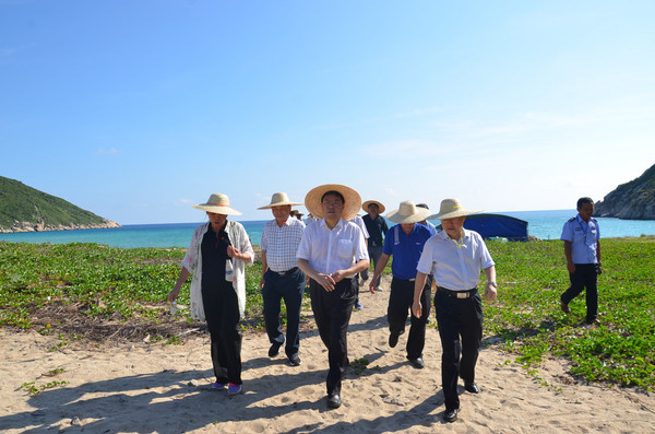 W020180528382574172953 W020180528382574172953