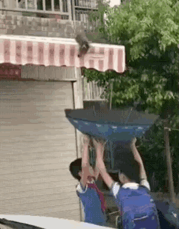 1527815401864937.gif 5.gif