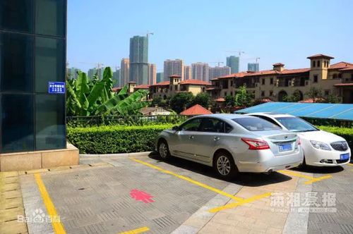 广州推出女性泳道网友吵翻天：说什么男女平等