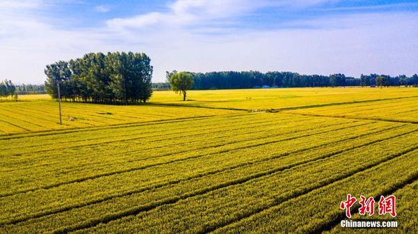 1122927961_15279227441371n 1122927961_15279227441371n