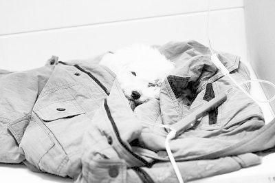 747b951573574baeac0717d9fe64dc51 747b951573574baeac0717d9fe64dc51