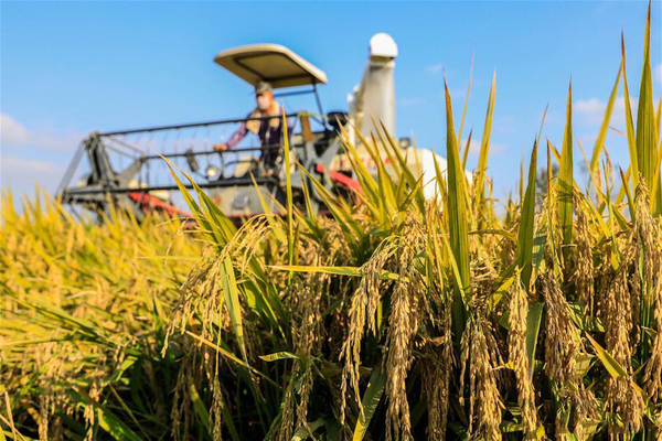 09977f28d13747fc8d4ecf48221e624c 09977f28d13747fc8d4ecf48221e624c