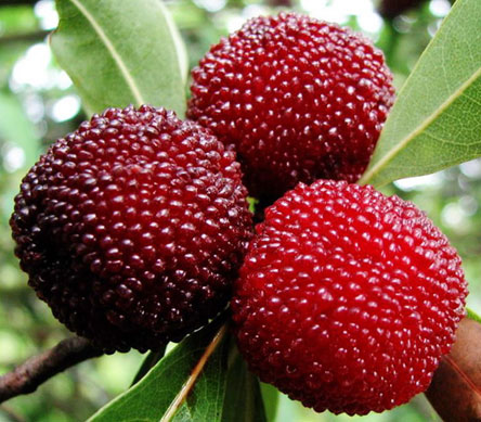 1c6f65e823870f63ecba08 1c6f65e823870f63ecba08