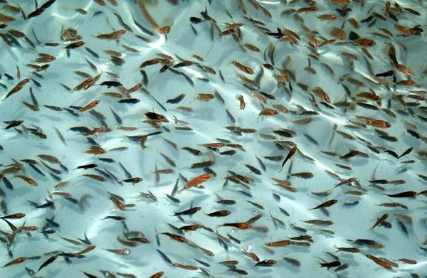 QQ截图20180607164328 QQ截图20180607164328