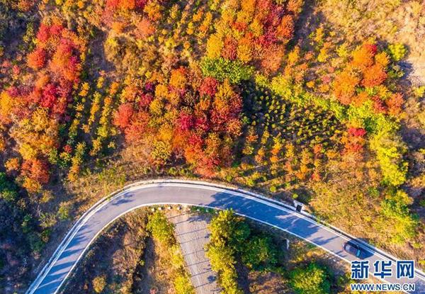 QQ截图20180608090252 QQ截图20180608090252