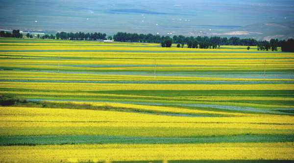 134503519_1439813861562_title0h 134503519_1439813861562_title0h