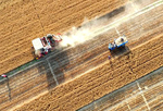 河北:“三夏”忙收麦